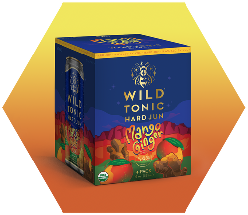 Mango Ginger 4-Pack